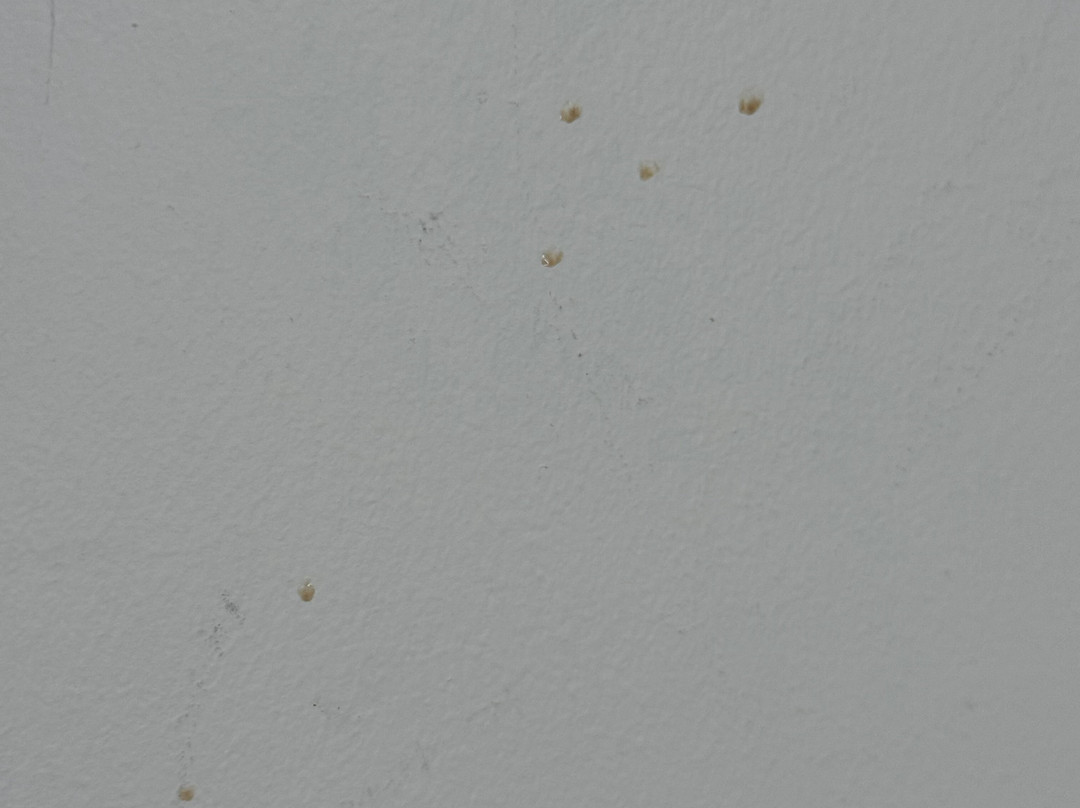 凯悦嘉轩酒店-奥马哈市中心老市场主图