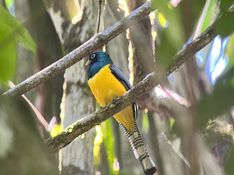 Ficus Tours-希门尼斯港必去景点