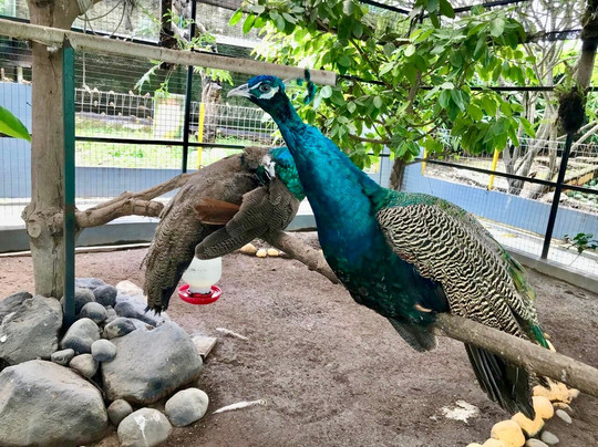 阿斯顿井里汶酒店及会议中心主图