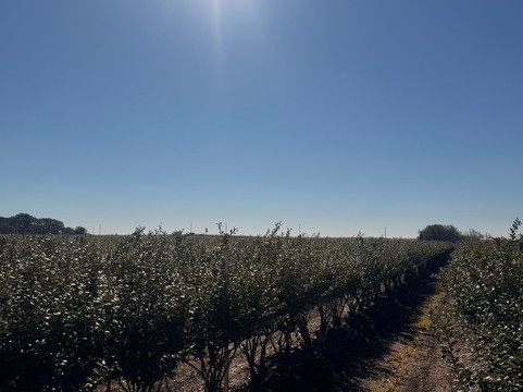 Southern Hill Farms-Clermont必去景点