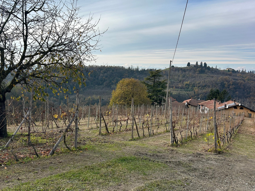 Azienda Vitivinicola Guazzotti-Gabiano必去景点