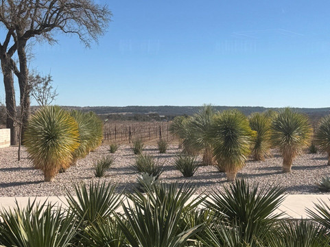 Invention Vineyards-弗雷德里克斯堡必去景点