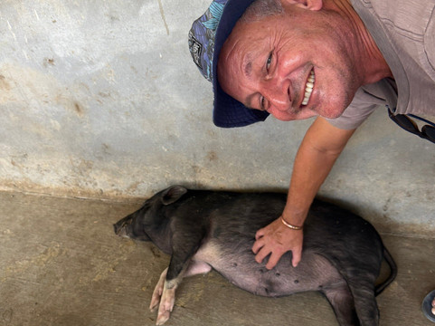 Laos Buffalo Dairy-琅勃拉邦必去景点