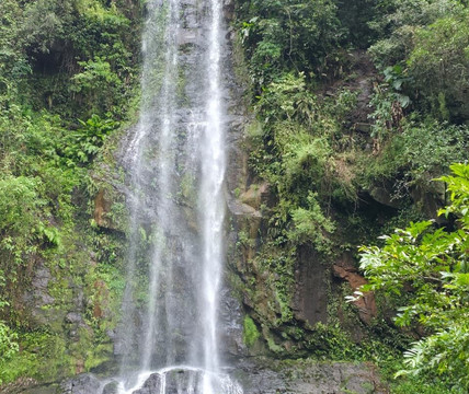 Cachoeira Magia Das Águas-Praia Grande必去景点