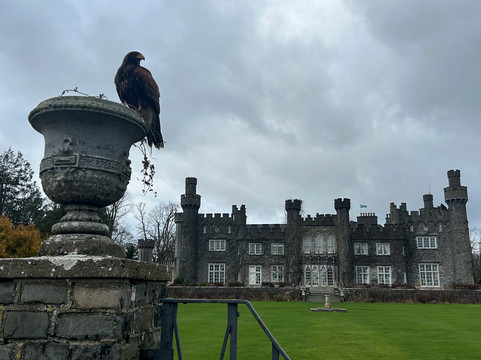Dublin Falconry-Castleknock必去景点