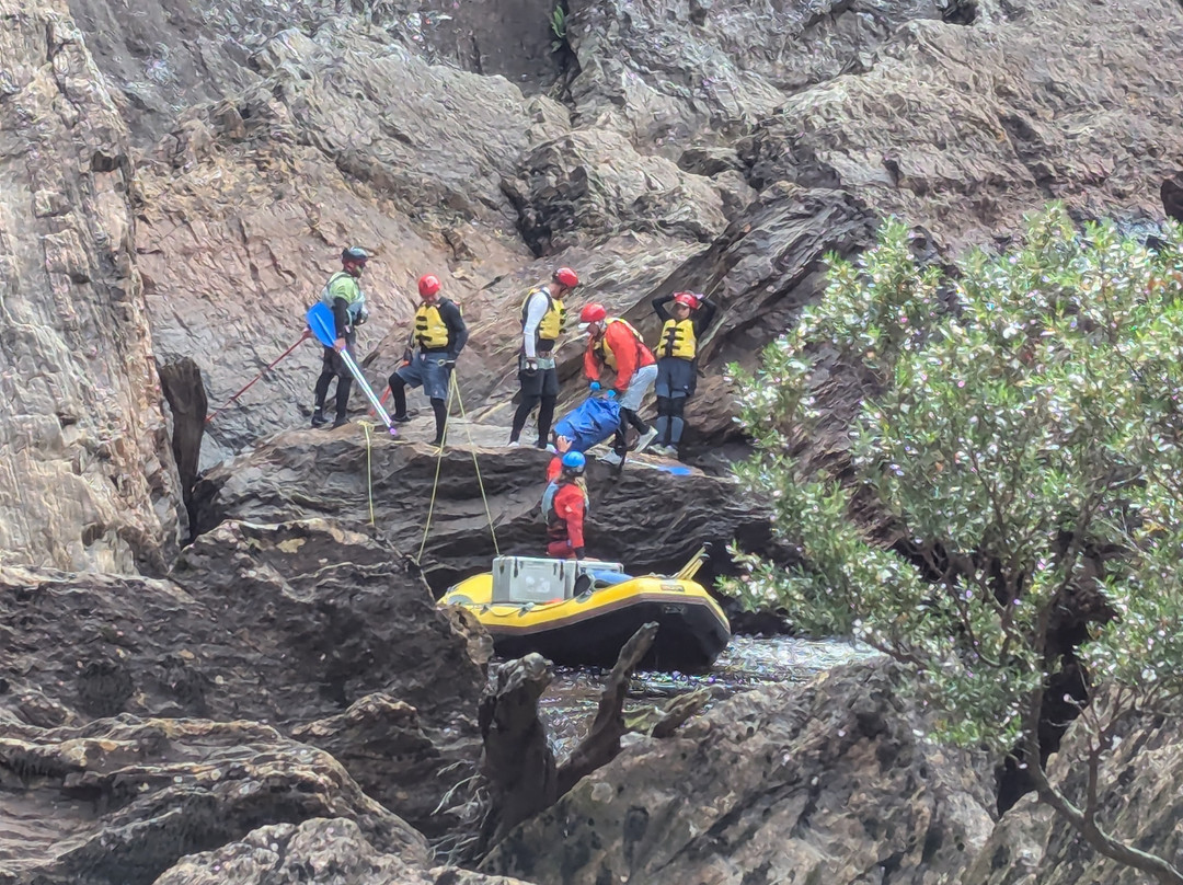 Franklin River Rafting-霍巴特必去景点