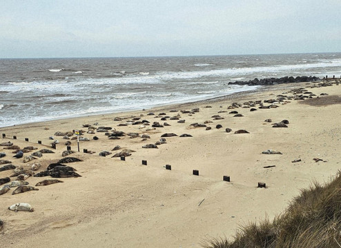 Horsey Beach-Horsey必去景点