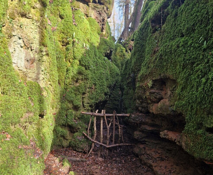 Puzzlewood-Coleford必去景点