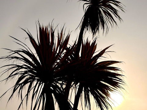 佩恩顿海滨旅屋酒店主图