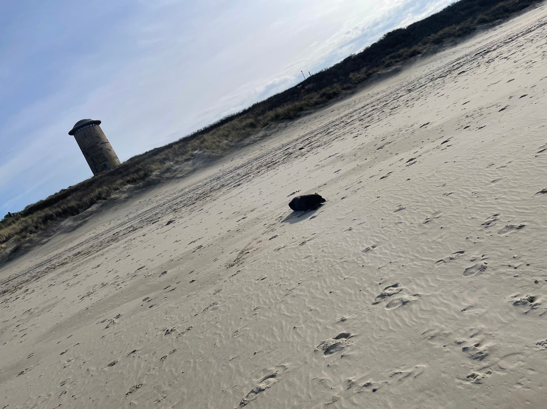 Hotel Zeeuws Licht I Kloeg Collection主图