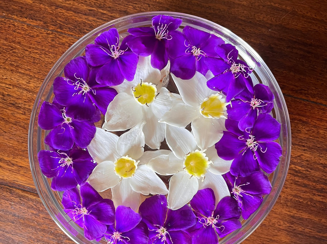 Lush Lanka Tours-Katugastota必去景点