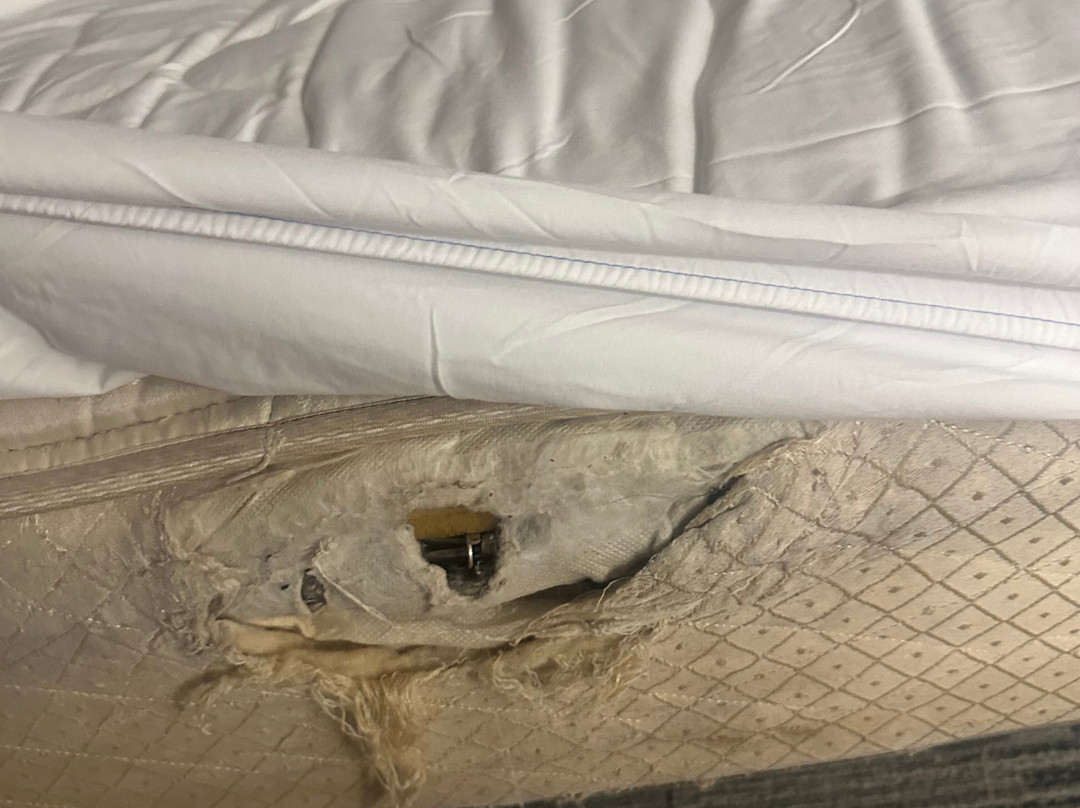 底特律红顶酒店-迪尔伯恩格林菲尔德村主图