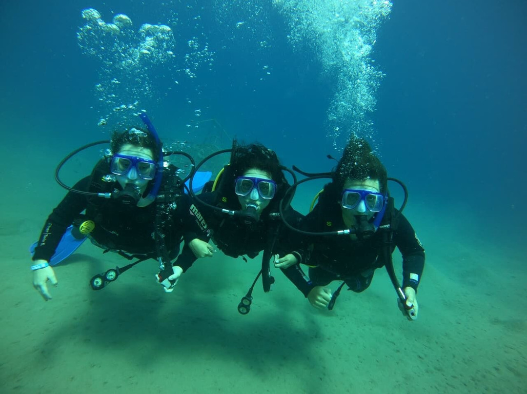 Red Sea Diving College-沙姆沙伊赫必去景点