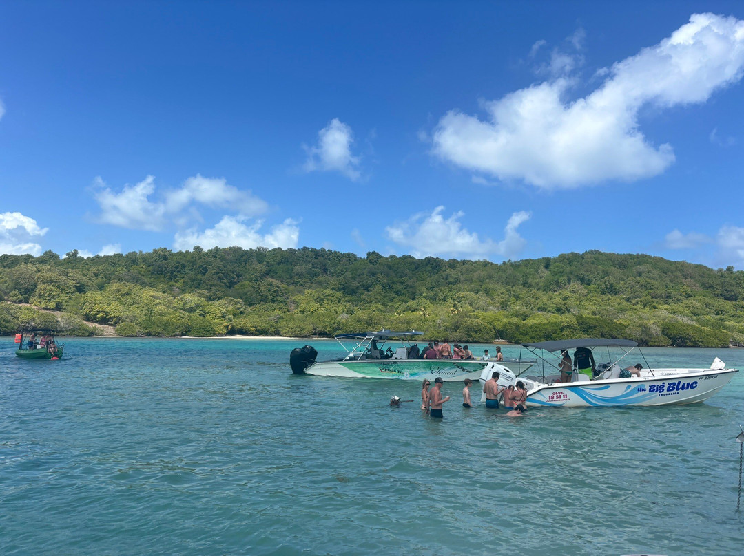 Matt'Excursions Nautiques-Le Francois必去景点