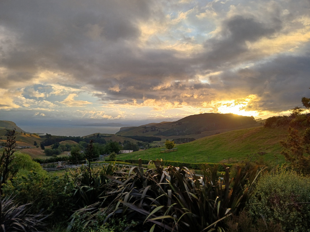 Hilltop Whakaipo Estate