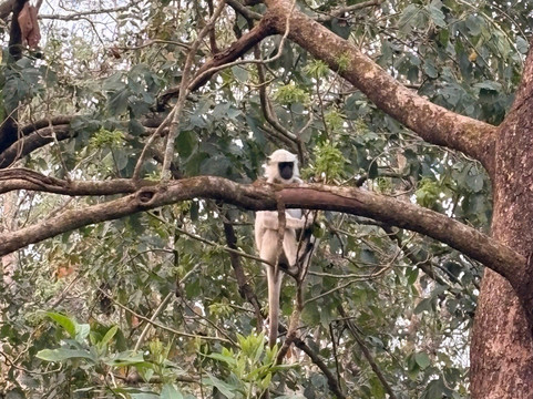 Himalaya Reisen-Wettingen必去景点