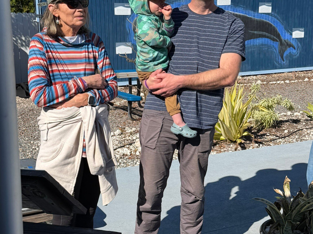 Dolphin Life-拉哥岛必去景点