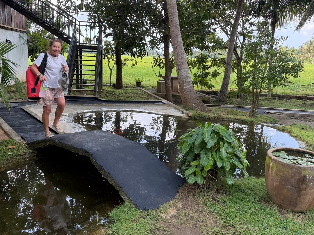 Village Mango Resort Yala主图