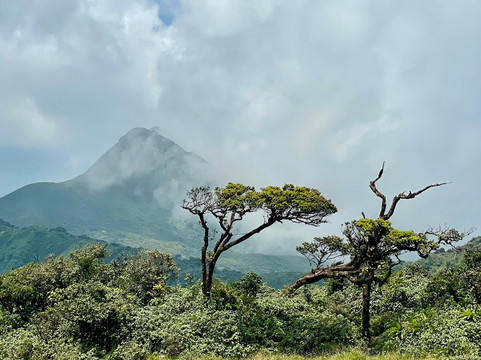Sri Lanka Trekking-康提必去景点