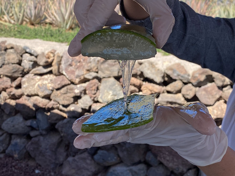 Finca Canarias Aloe Vera-Guimar必去景点