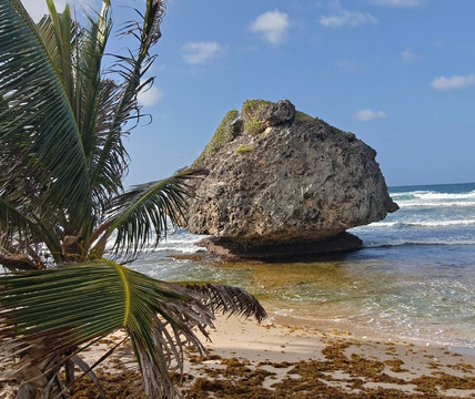 Ted's Tours-Hastings必去景点