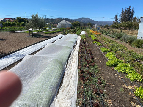 Casas del Bosque-卡萨布兰卡必去景点