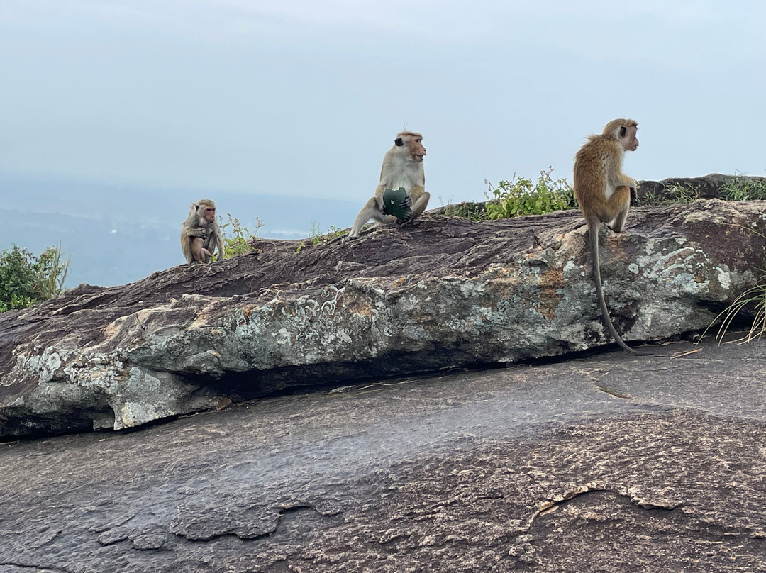 Wonderful Trip by DiDi-科伦坡必去景点