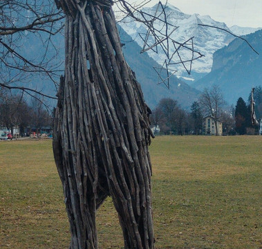Hohematte Park-因特拉肯必去景点