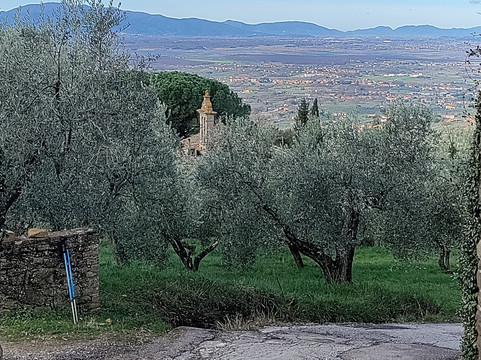 Chiesa di Santa Maria Assunta-芬奇必去景点
