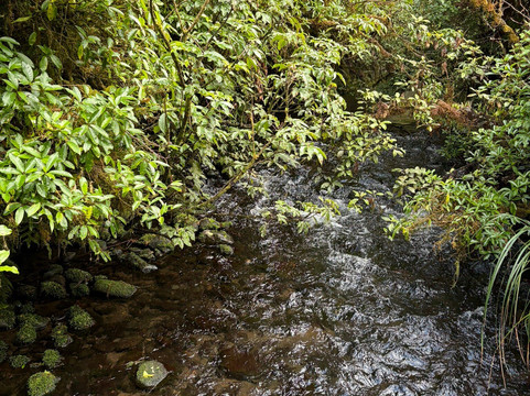 TCB Ski Board and Bike-奥阿库尼必去景点