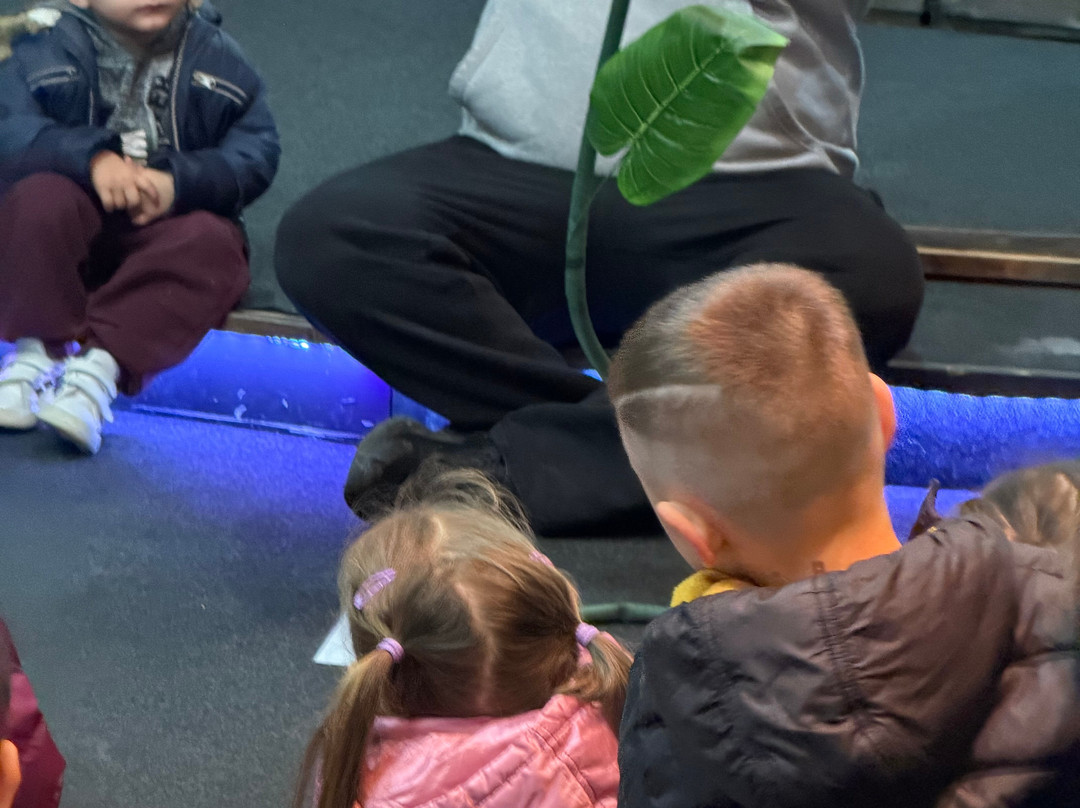 Bee Museum-诺帕克特斯必去景点