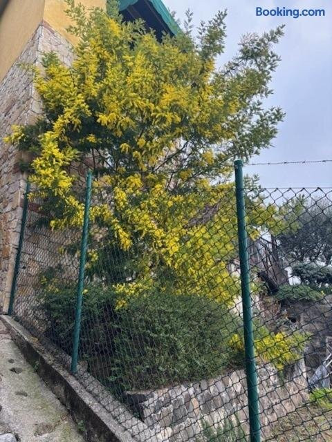 B&B Alle Scalette主图