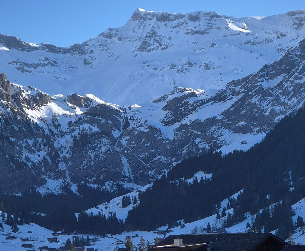 布里斯托尔瑞拉斯宁谧高级酒店主图