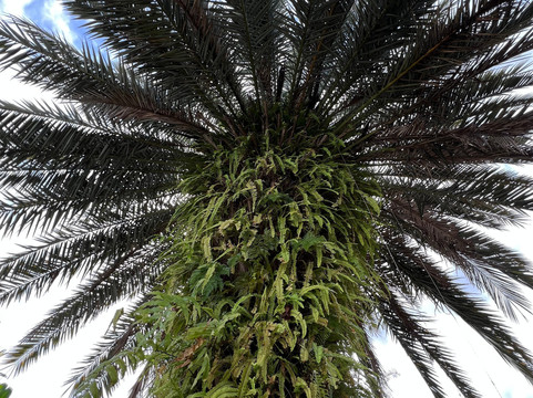 Espaço Hartãt - Acervo Indígena-Caraguatatuba必去景点