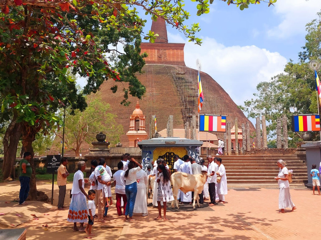 Tours Lanka with Manoj-尼甘布必去景点