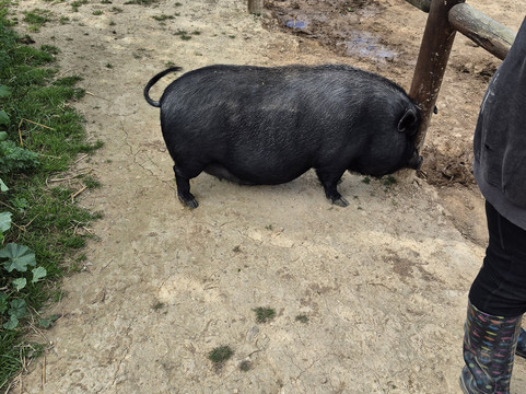 Quinta Fotoplanet Farm-阿尔布赞拉必去景点