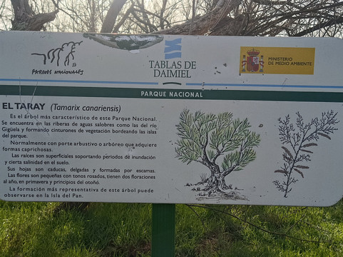 Parque Nacional de las Tablas de Daimiel-Daimiel必去景点