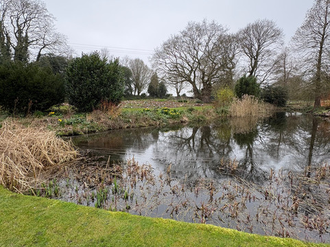 Beth Chatto's Plants & Gardens-科尔切斯特必去景点