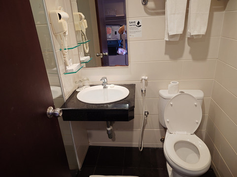 巴谈岛瑞士旅店主图