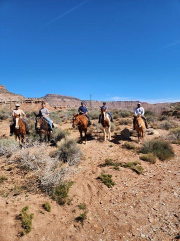 Shelleys Custom Horse Tours-Virgin必去景点