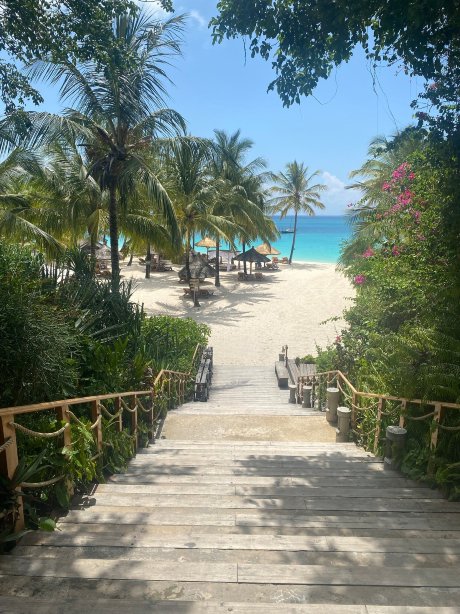 苏里尚吉巴酒店-官方