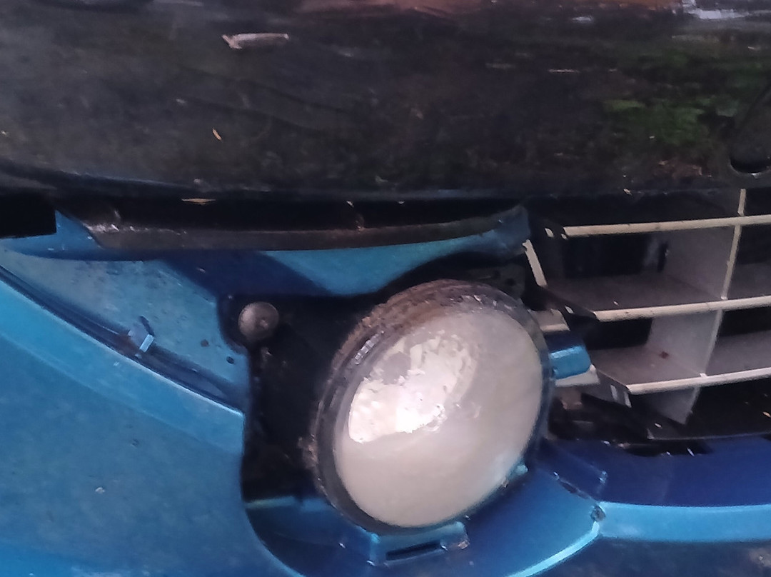 CORSICA Linea-阿雅克肖必去景点