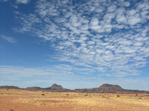 Twyfelfontein Elephant Drives-Palmwag必去景点
