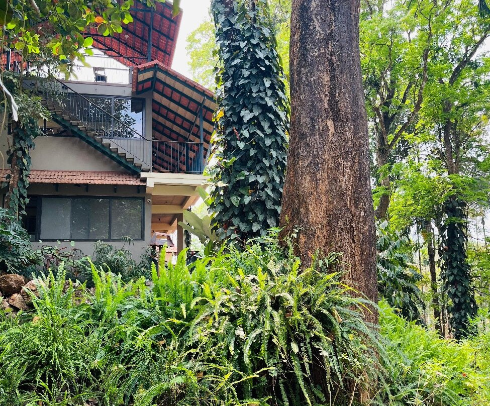 柳枝度假村主图