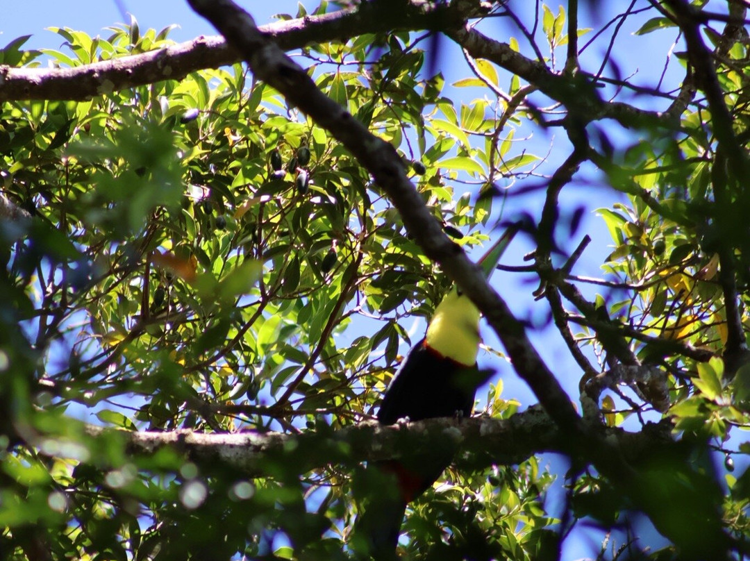 Valle Escondido Nature Reserve-蒙特沃德必去景点