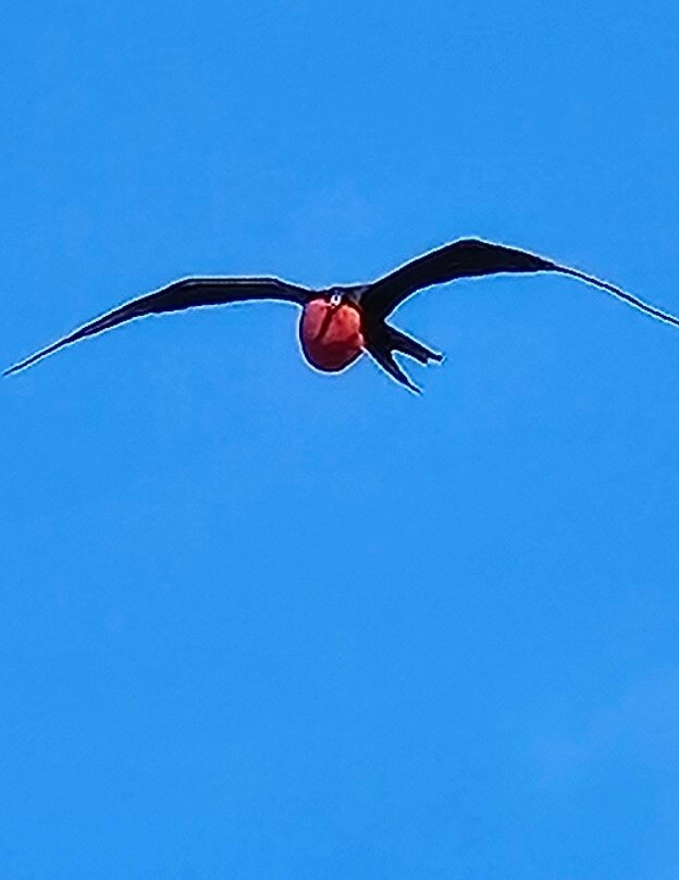 Blue Caribe-艾库玛尔必去景点