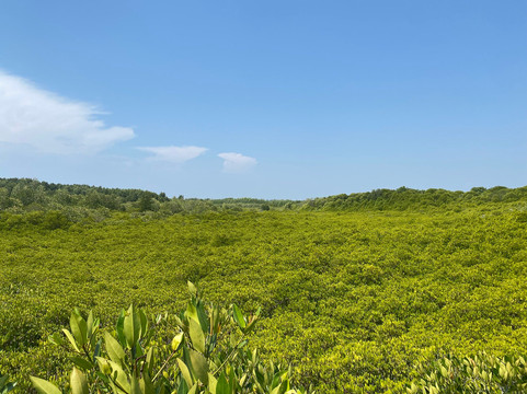 Tung Prong Thong-Ban Pak Nam Krasae必去景点