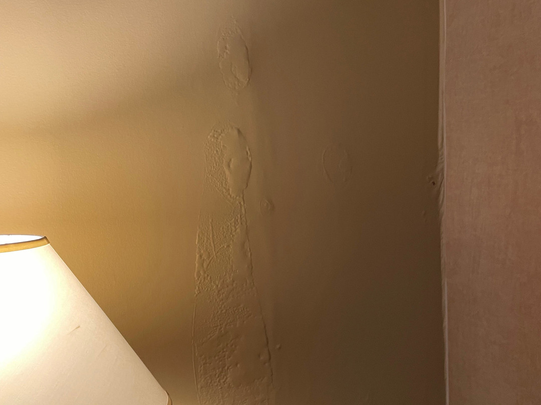 格林斯伯勒机场希尔顿安泊套房酒店主图