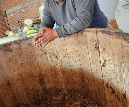 Oaxaca Experience Tours-瓦哈卡必去景点