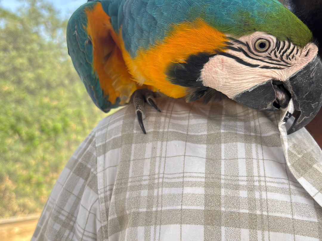 Trichy Birds Park-Tiruchirappalli District必去景点